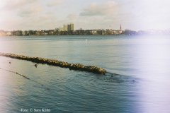 000041_web