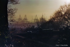 imm007_N7_web