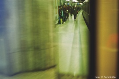 imm015_14A_web